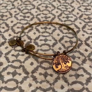 Alex and Ani bracelet